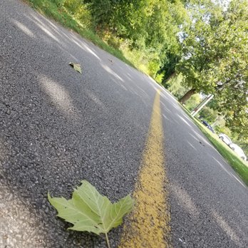 Linne Woods - A green leaf is lying on a paved asphalt road that has a yellow dividing line. The road is bordered by trees and green foliage, with sunlight filtering through the leaves. In the background, there are parked cars and a utility pole, indicating a suburban or park area setting. - Hiking Near Me - Morton Grove, Illinois
