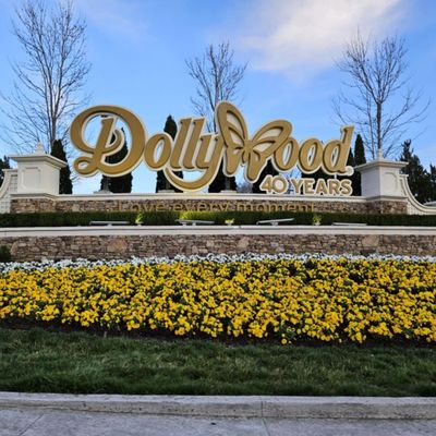 Spotlight Bakery by null