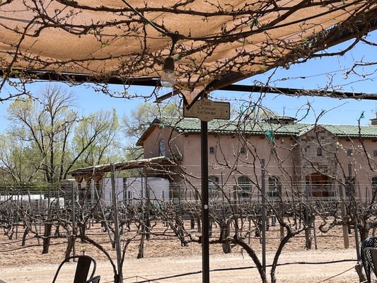 Casa Rondeña Winery by null