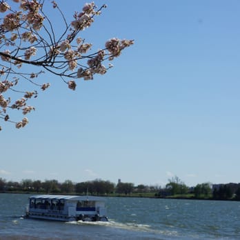 DC Cruises - "Cherry Blossom Water Taxi" (aka DC Water Taxi) -viewed from "cherry blossom" drop-off point on Potomac River (Ohio Dr & West Basin Dr) - Tours Near Me - Washington, DC, District of Columbia