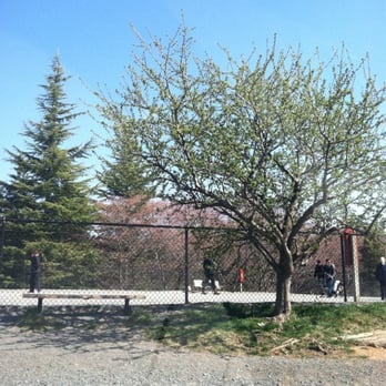 Baron Cameron Dog Park - Dog Parks Near Me - Reston, Virginia