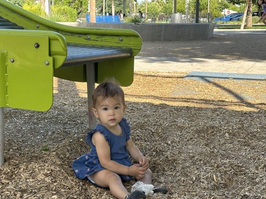 Pioneer Park by null