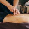 Bayside Physical Therapy, Chiropractic & Acupuncture gift card