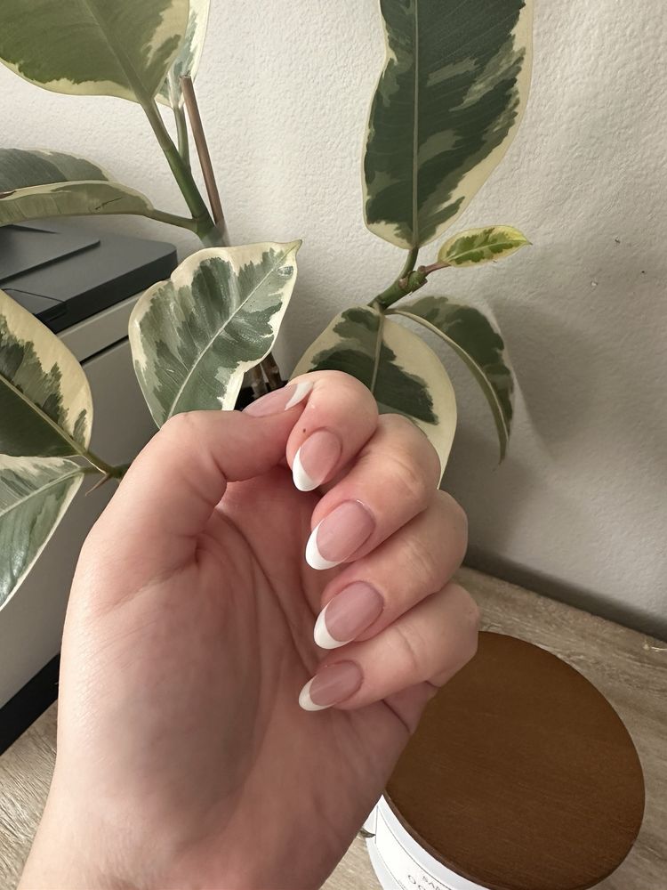 Dust To Diamond Nails Logo