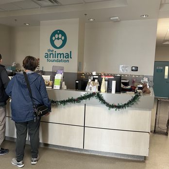 ANIMAL FOUNDATION - Updated October 2024 - 427 Photos & 496 Reviews