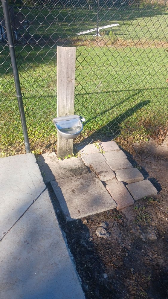 Spring Lake Bark Park Image
