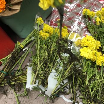 Zuniga Flowers - Rotted yellow marigolds - Florists Near Me - Los Angeles, California Zuniga Flowers - Rotted yellow marigolds - Florists Near Me - Los Angeles, California