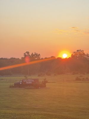 Deliteful Dairy by null