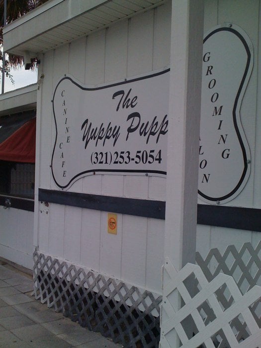 The Yuppy Puppy Image