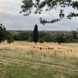Gladstone Park