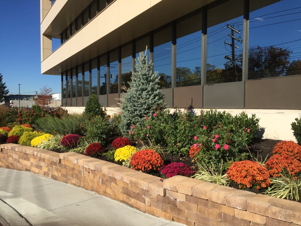 PLANT TRENDS Updated September 2024 North Bellmore, New York