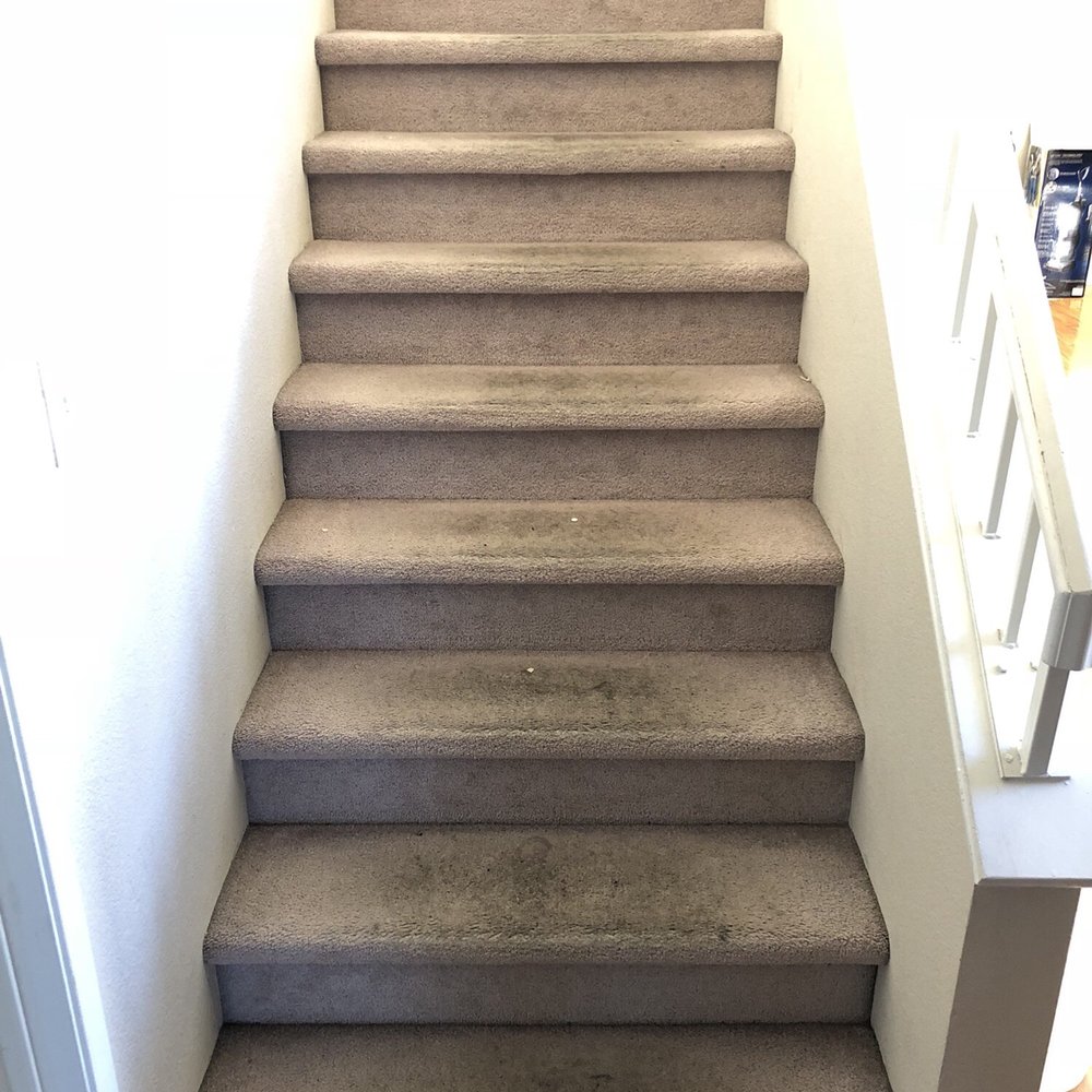 Safer Choice Cleaning - Carpet Cleaning Near Me - Riverside, California Safer Choice Cleaning - Carpet Cleaning Near Me - Riverside, California
