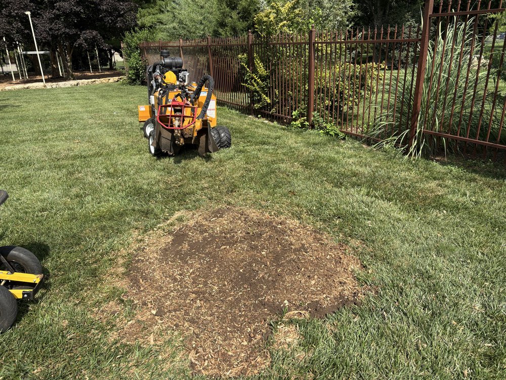 Wichita Stump Grinding - tree service in Wichita, KS