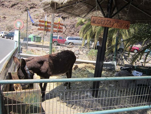Restaurante Las Cañadas by null