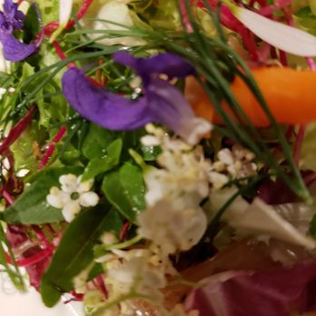 Joia - salad - Vegan Near Me - Milan, Michigan