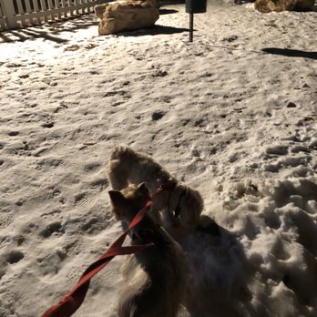 La Quinta by Wyndham Gallup - Pups sniffing snow & approve this pet area, lol - Hotels Near Me - Gallup, New Mexico La Quinta by Wyndham Gallup - Pups sniffing snow & approve this pet area, lol - Hotels Near Me - Gallup, New Mexico