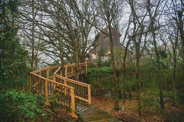 Savannah's Meadow by null