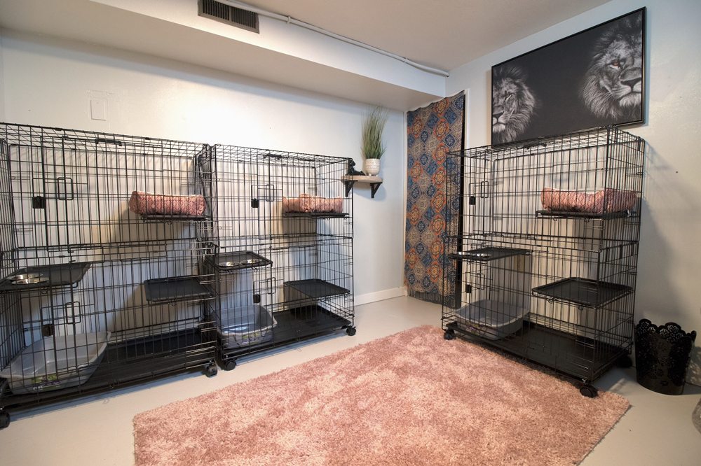 CRESTWOOD CAT BOARDING Updated June 2024 Request Information 8040