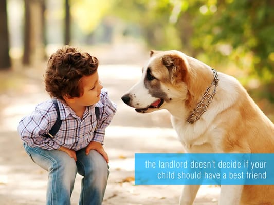 Bill Payne - Keller Williams Real Estate