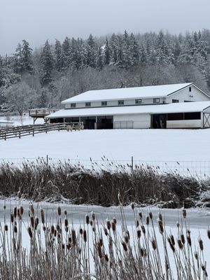 The Farm at Krystal Acres by null