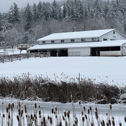 The Farm at Krystal Acres - The farm in the snow