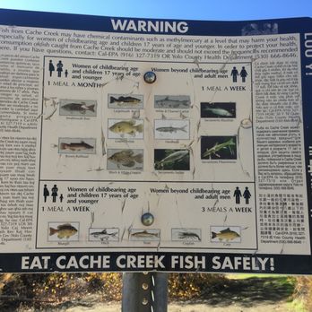 Cache Creek Regional Park - fish warning - Parks Near Me - Rumsey, California Cache Creek Regional Park - fish warning - Parks Near Me - Rumsey, California