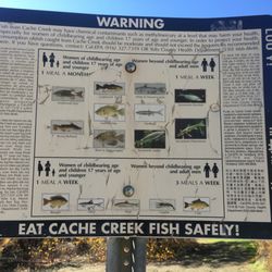 Cache Creek Regional Park - fish warning