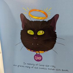 Black Cat Records 'N' Comics