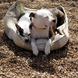Play Date Friends enjoying the sunshine