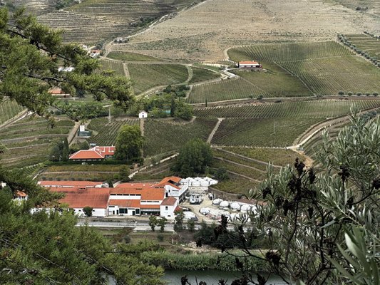 Quinta do Bomfim by null