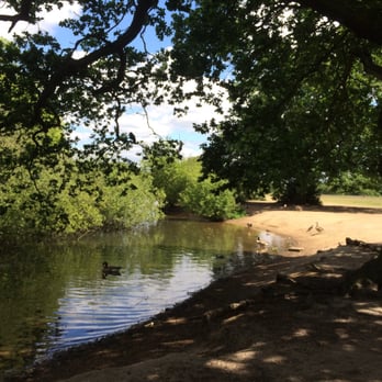 Lakeside Diner - Bird a And wildlife sanctuary - Coffee & Tea Near Me - London, XGL Lakeside Diner - Bird a And wildlife sanctuary - Coffee & Tea Near Me - London, XGL