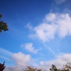 City of Albany - Jealous of these non-grey skies.