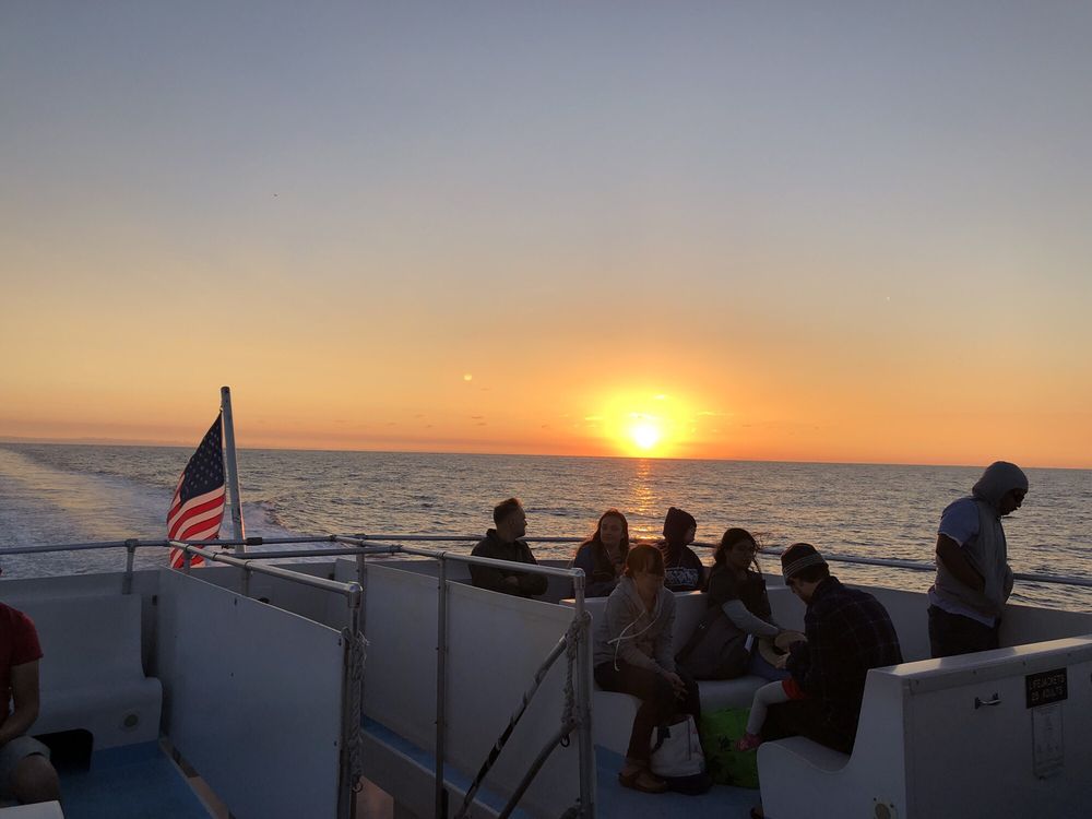 CATALINA EXPRESS 97 Photos & 138 Reviews Transportation 34675