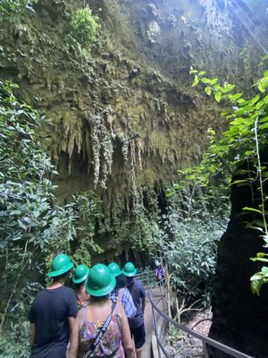 Parque Nacional de las Cavernas del Río Camuy by null
