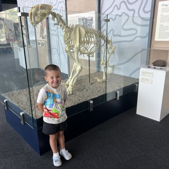 Adventure Science Center - Museums Near Me - Nashville, Tennessee Adventure Science Center - Museums Near Me - Nashville, Tennessee
