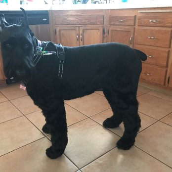 Meadows Pet Care - Pet Groomers Near Me - San Marcos, California Meadows Pet Care - Pet Groomers Near Me - San Marcos, California