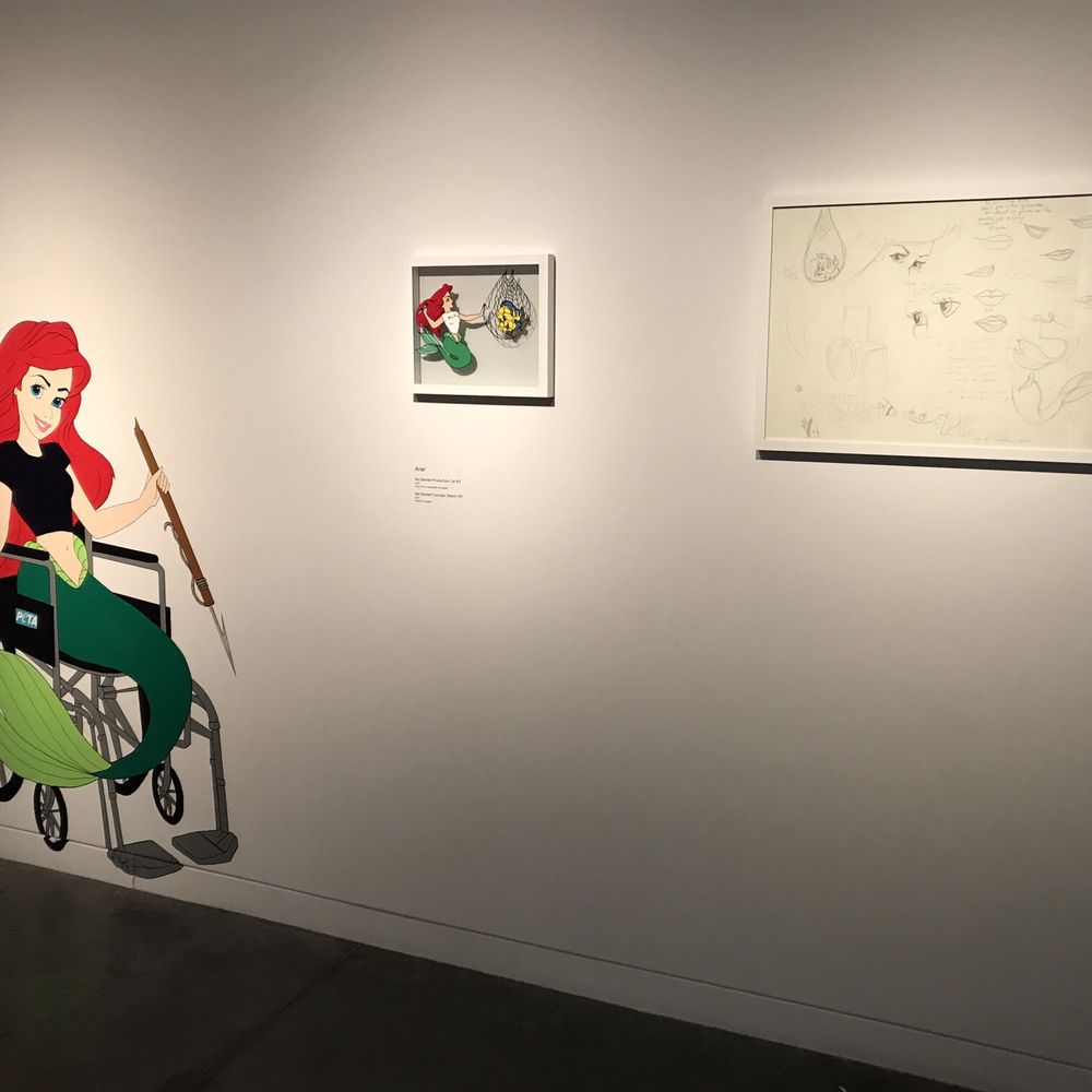 Cam Raleigh - Art Museums Near Me - Raleigh, North Carolina Cam Raleigh - Art Museums Near Me - Raleigh, North Carolina