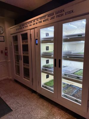 STOCK FOOD & DRINK by null