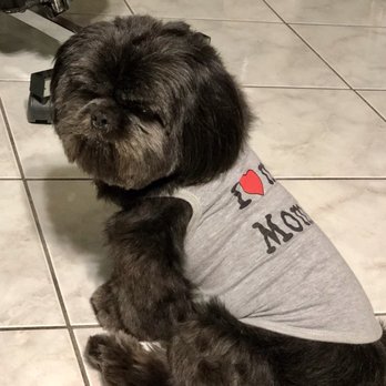 Rainbow Grooming Mobile Service - Pet Groomers Near Me