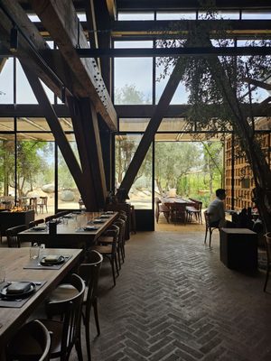 Bruma Valle de Guadalupe by null