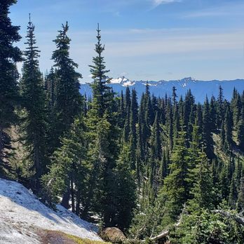 Hurricane Ridge - Gorgeous view. - Parks Near Me - Port Angeles, Washington Hurricane Ridge - Gorgeous view. - Parks Near Me - Port Angeles, Washington