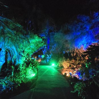 Lightscape San Diego - Botanical Gardens Near Me - Encinitas, California Lightscape San Diego - Botanical Gardens Near Me - Encinitas, California