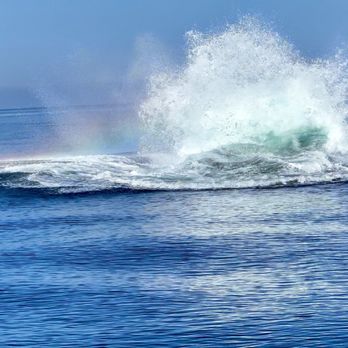 Discovery Whale Watch - Rainbow aftermath of a humpback whale breaching - Whale Watching Tours Near Me - Monterey, California