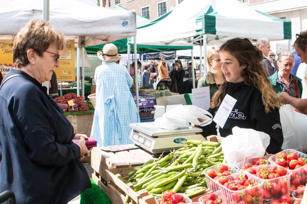 Marylebone Farmers' Market by null