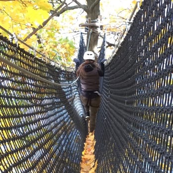 Treetop Trekking - Ziplining Near Me - Brampton, Ontario