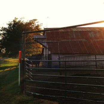 Sleepy Sheep Ranch - Horseback Riding Near Me - Whitewright, Texas Sleepy Sheep Ranch - Horseback Riding Near Me - Whitewright, Texas