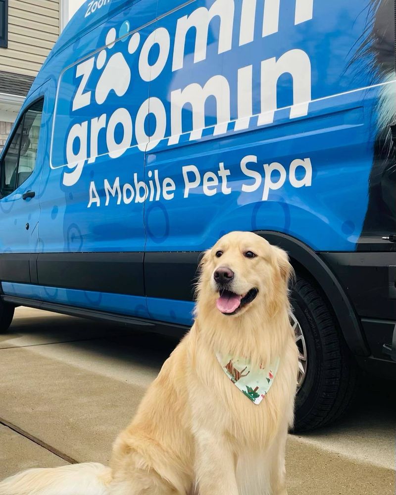 ZOOMIN GROOMIN Updated July 2024 20 Photos Cape Coral, Florida