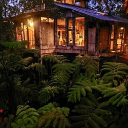 Skye's Hawaii Volcano Treehouse