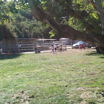 Morning Star Farm - Grassy area where parties are held & petting zoo in background - Horseback Riding Near Me - Novato, California
