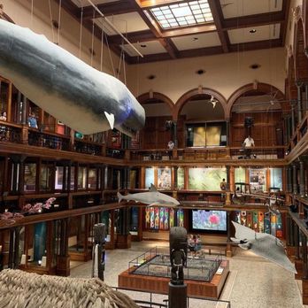 Bishop Museum - Inside 1 - Museums Near Me - Honolulu, Hawaii Bishop Museum - Inside 1 - Museums Near Me - Honolulu, Hawaii